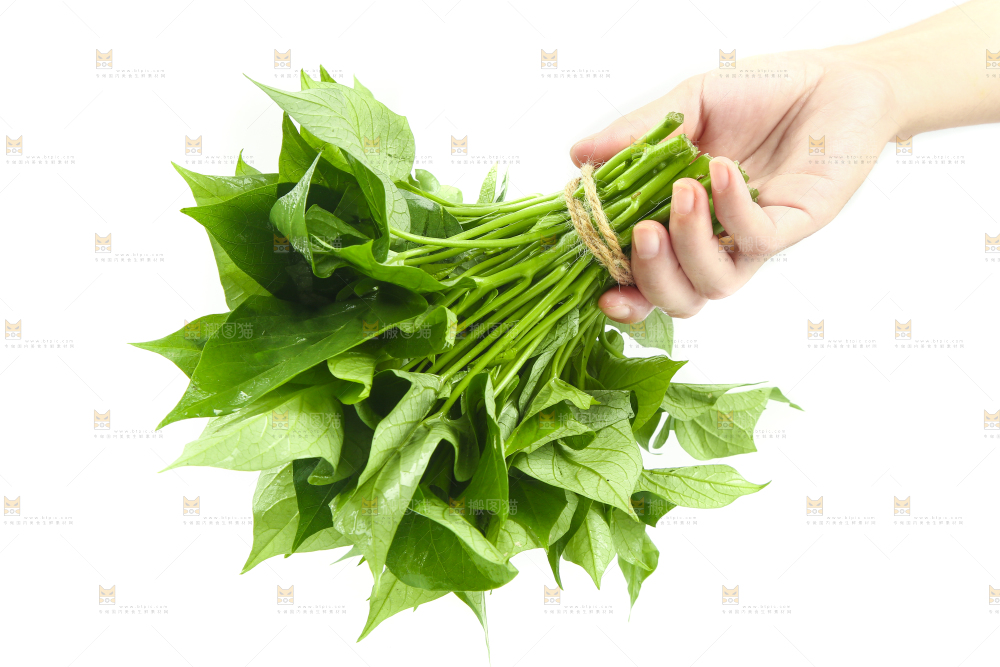 手里拿着地瓜叶