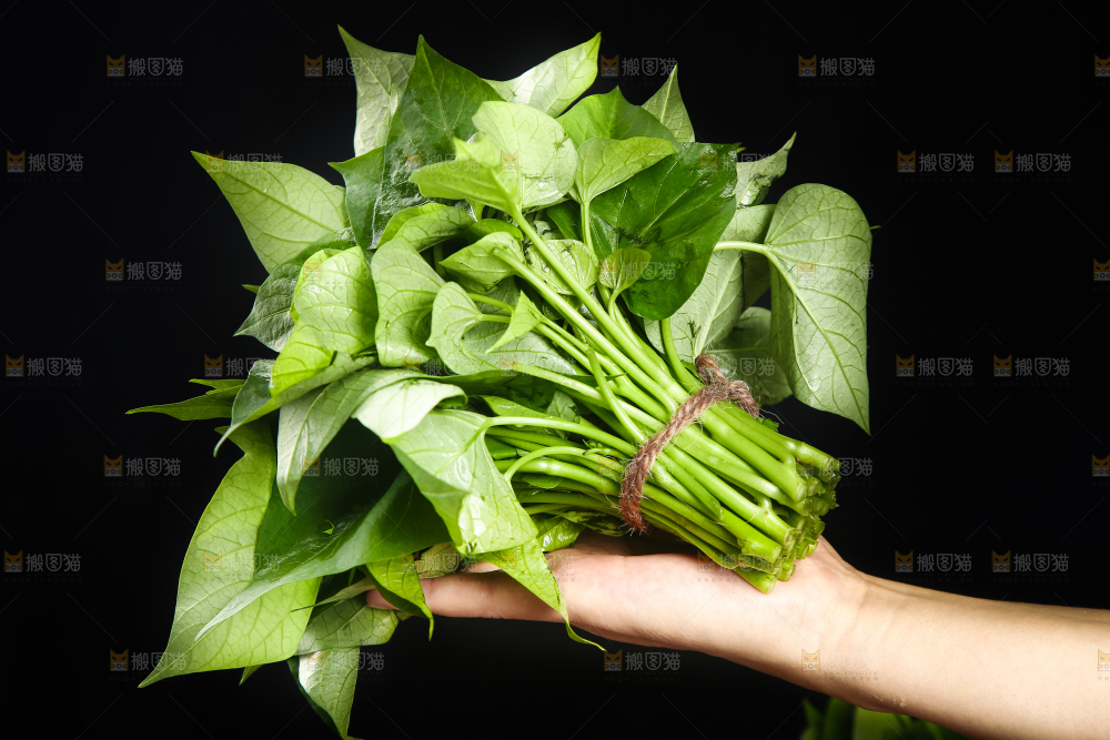 手里拿着一把苕尖