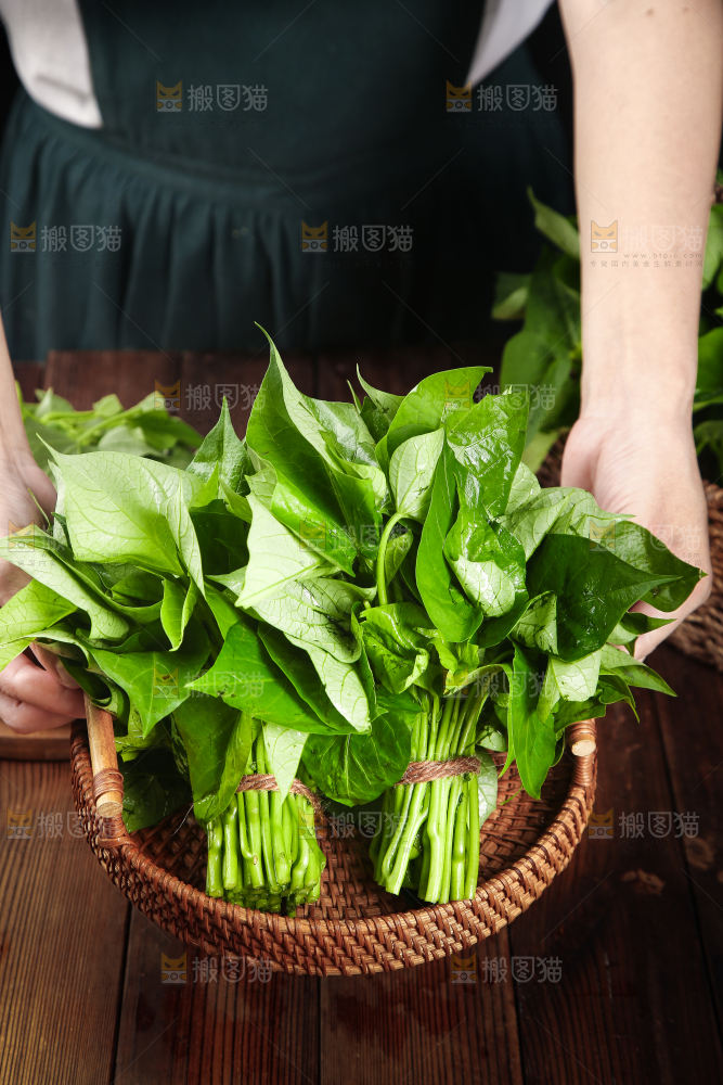 手里端着一篮地瓜叶