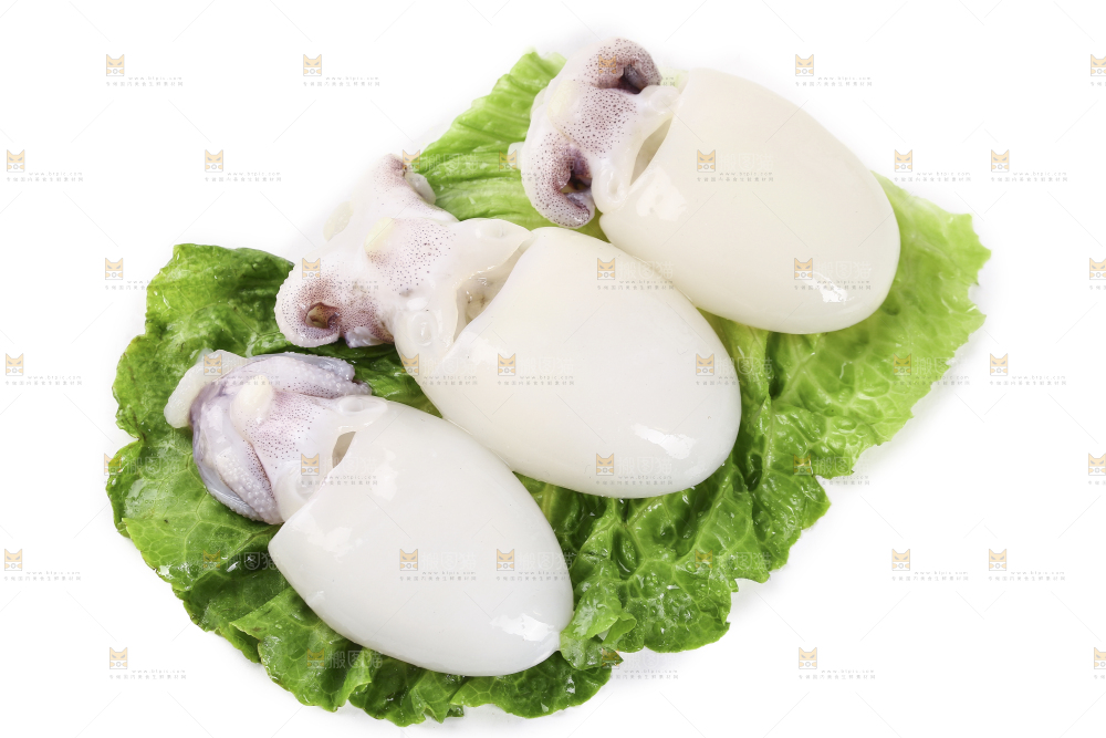 菜叶上的小墨鱼