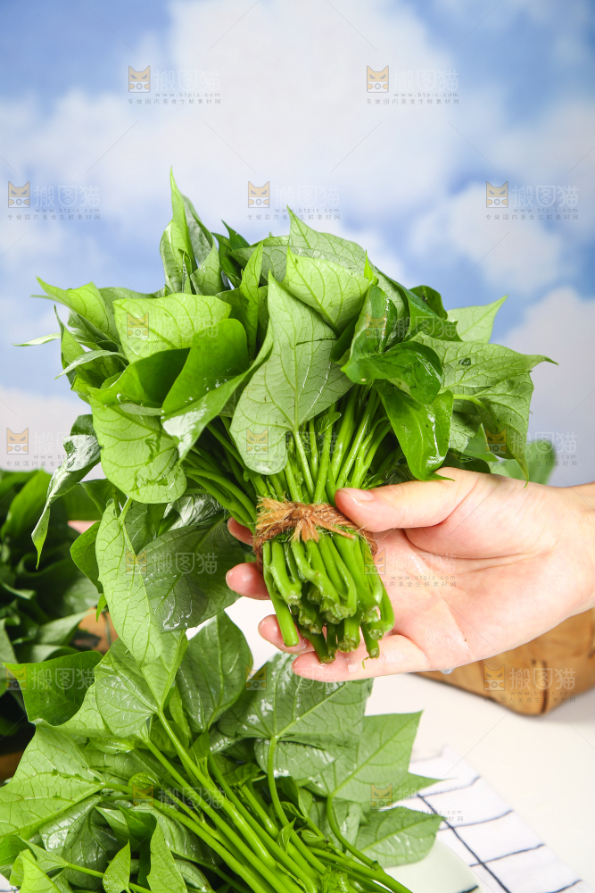 手里拿着红薯叶