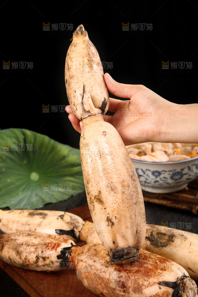 手上拿着粉藕