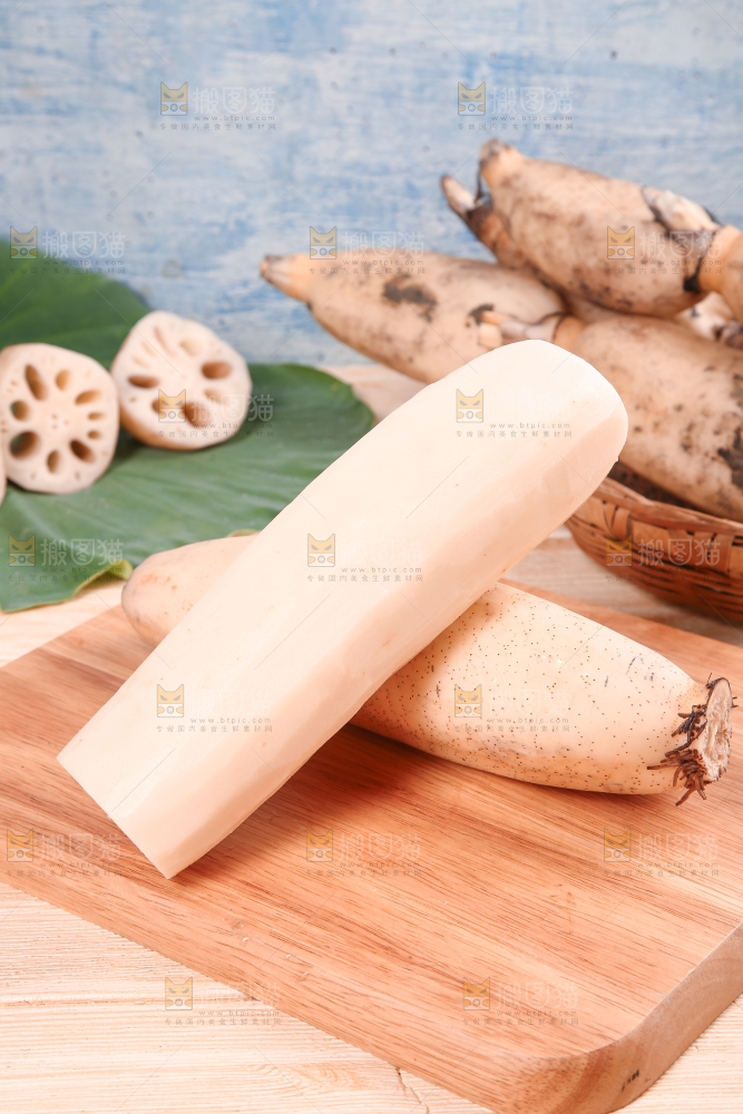 木底上的湖北洪湖粉藕