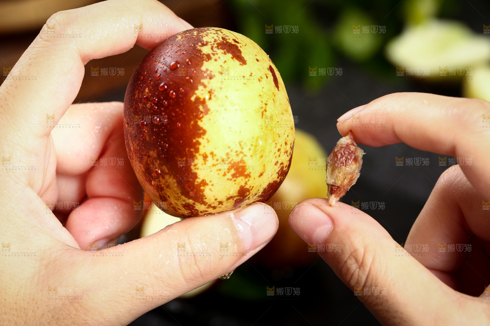 手里拿着冬枣和枣子核对比