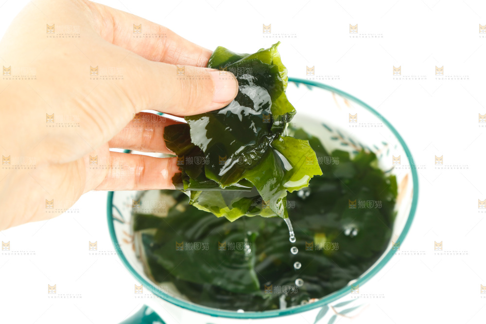 手里拿着海带苗