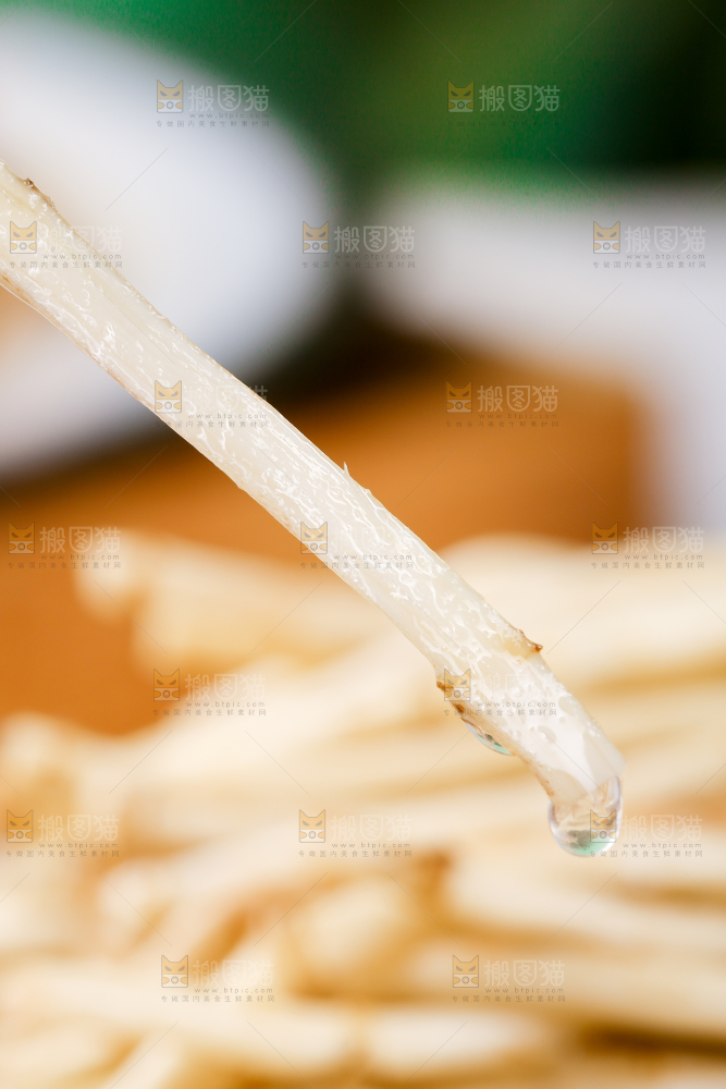一根鱼腥草