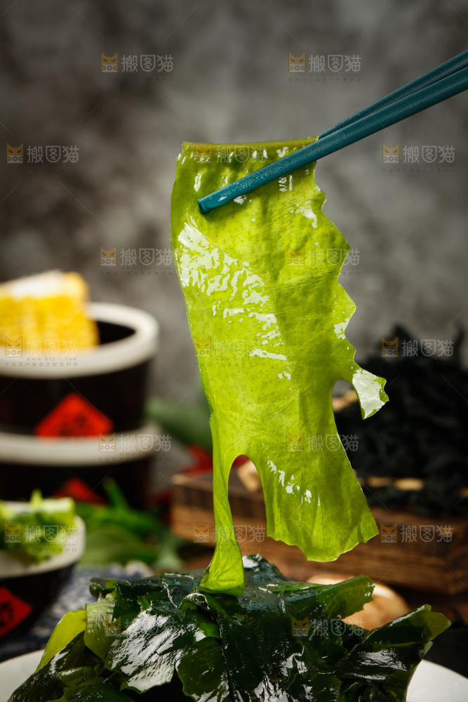 筷子上夹着泡过的裙带菜