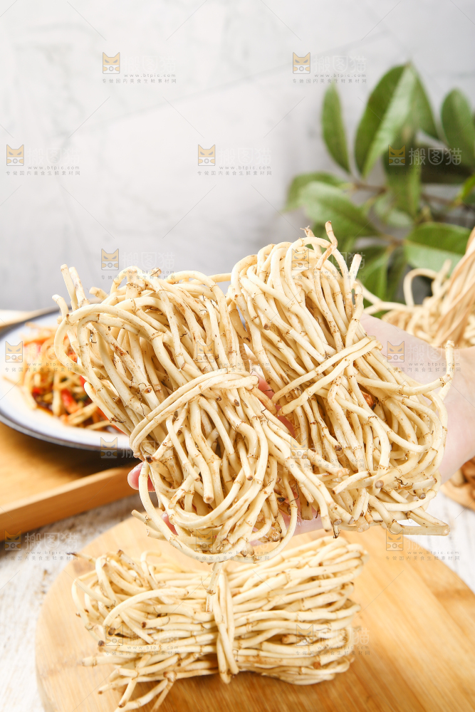 手里拿着鱼腥草