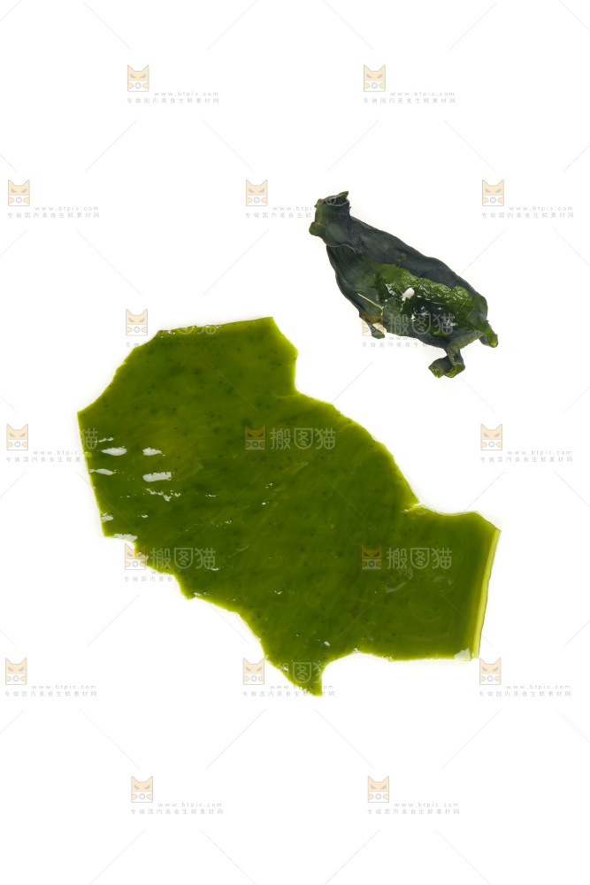 白底上的裙带菜对比