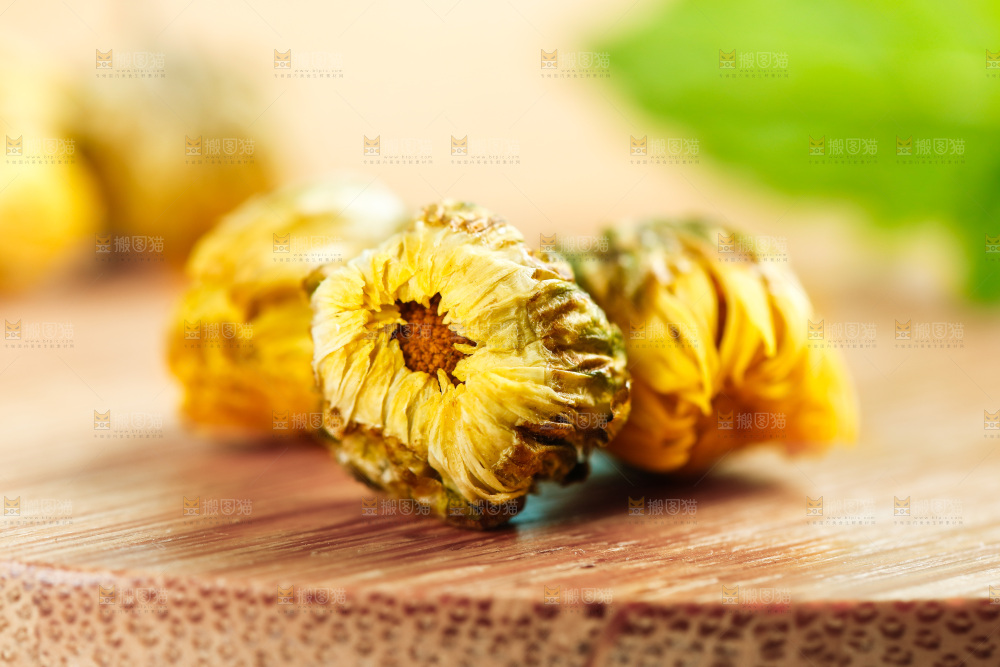 木底上的桐乡胎菊