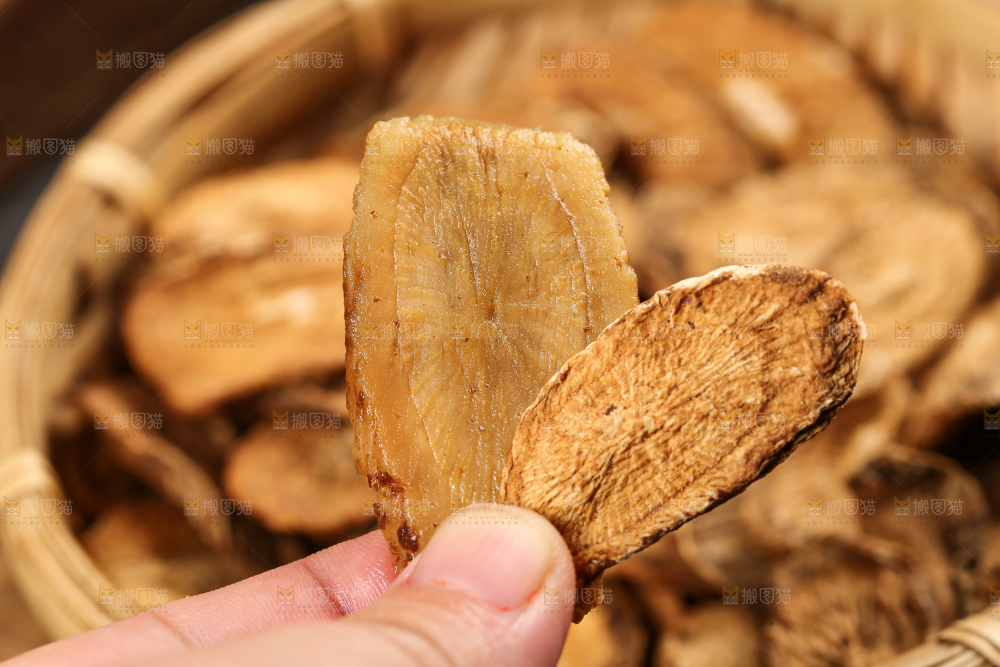 手里拿着牛蒡根