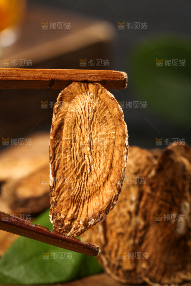 夹子上夹着牛蒡片