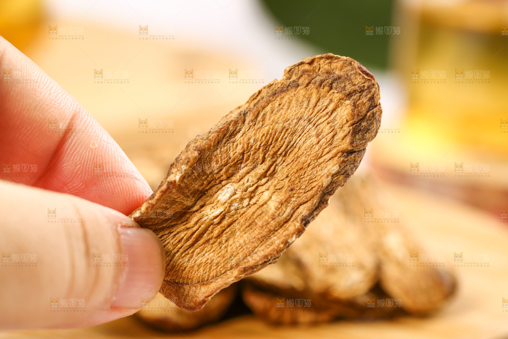 手里拿着牛蒡根