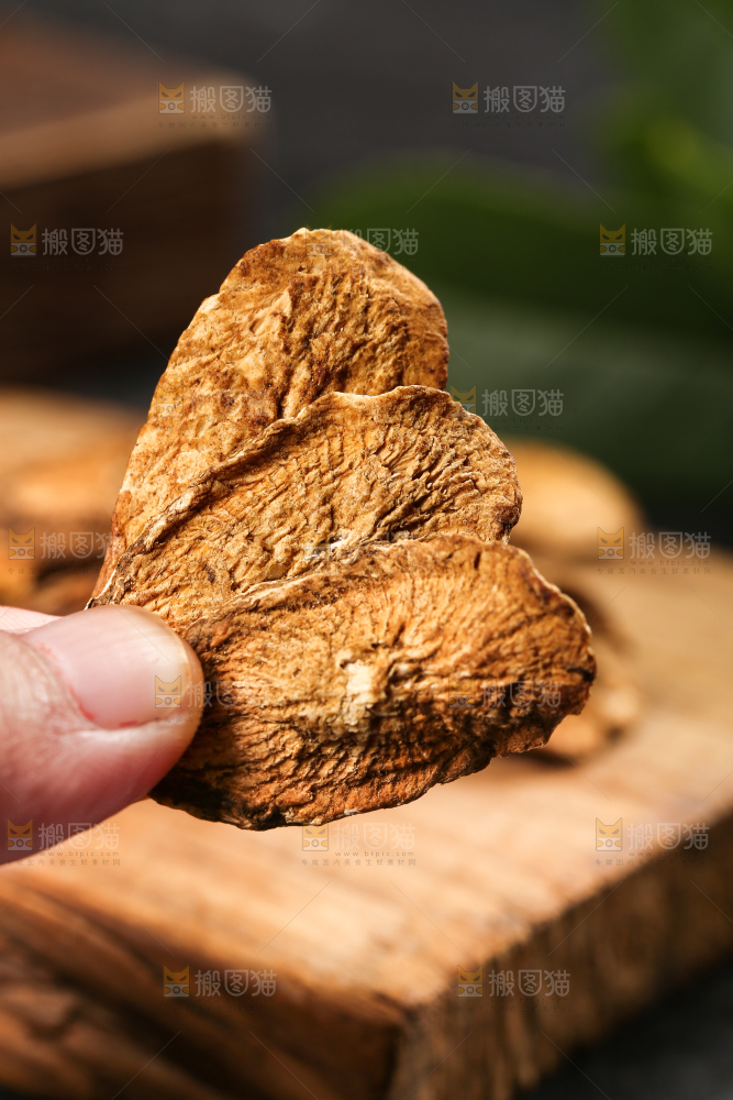手里拿着牛蒡根