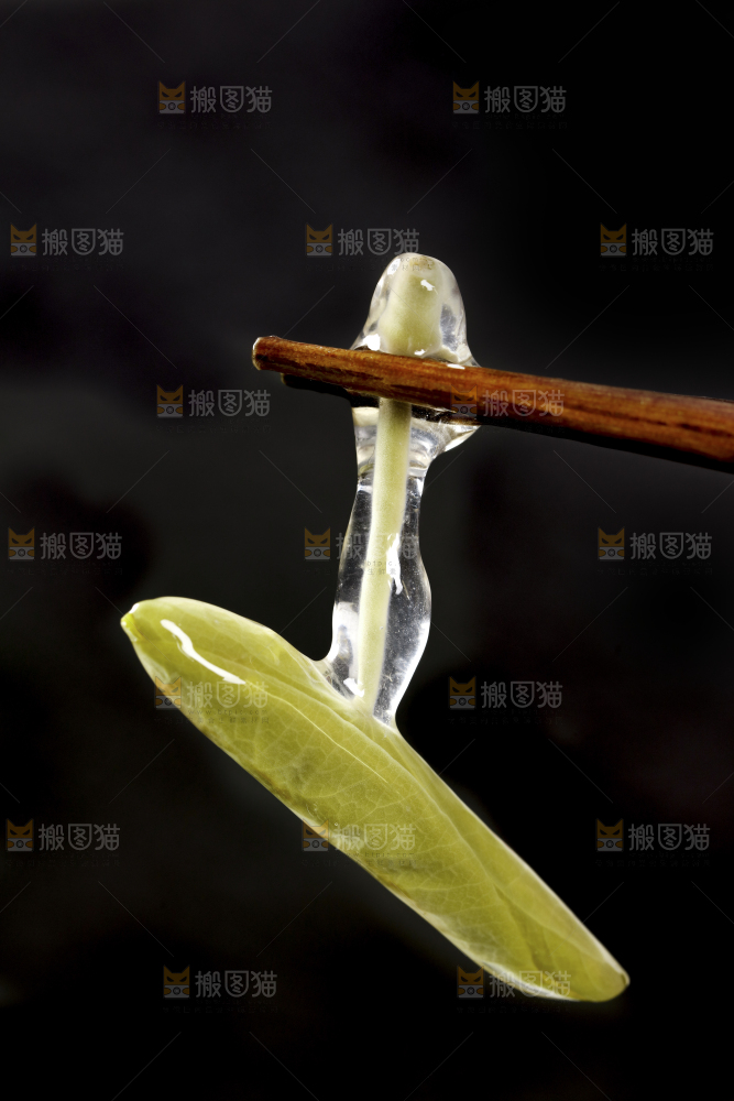 筷子夹着苏州太湖莼菜