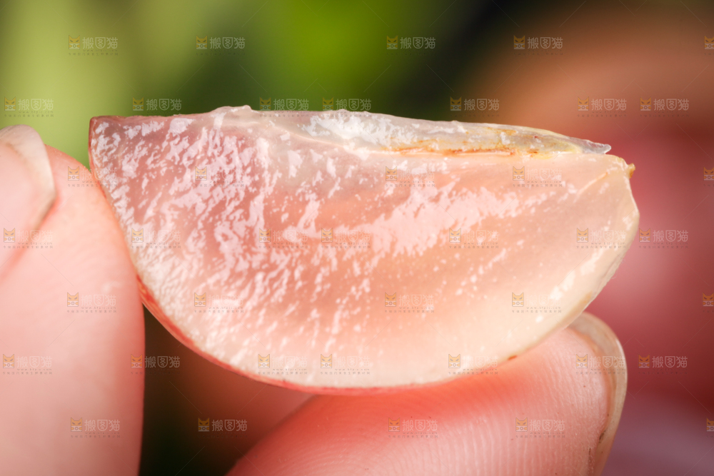 手里拿着提子