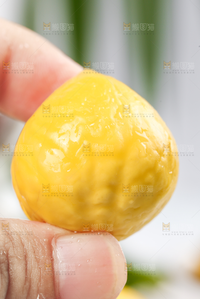 手里拿着锥栗仁