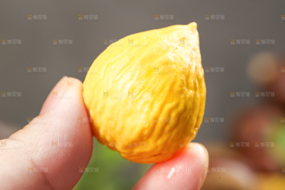 手拿着锥栗仁