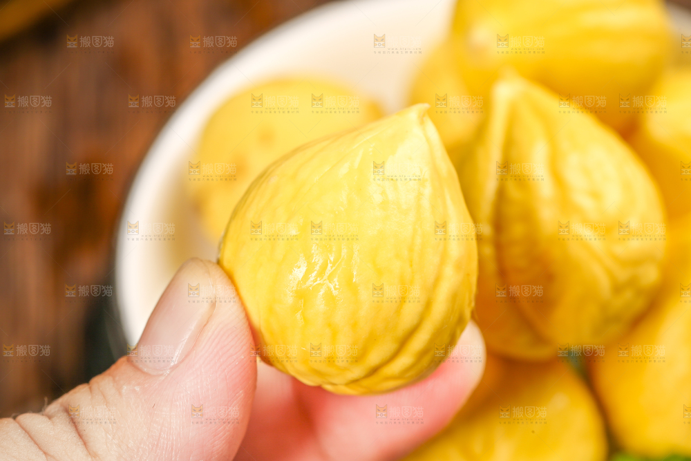 手拿着锥栗仁