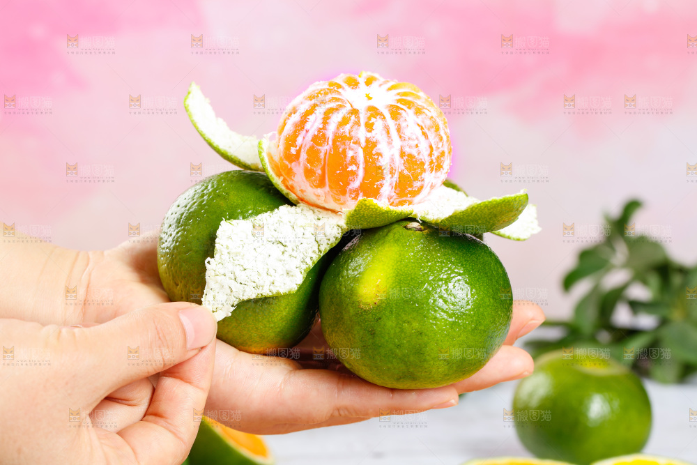 手里捧着新鲜青皮蜜橘
