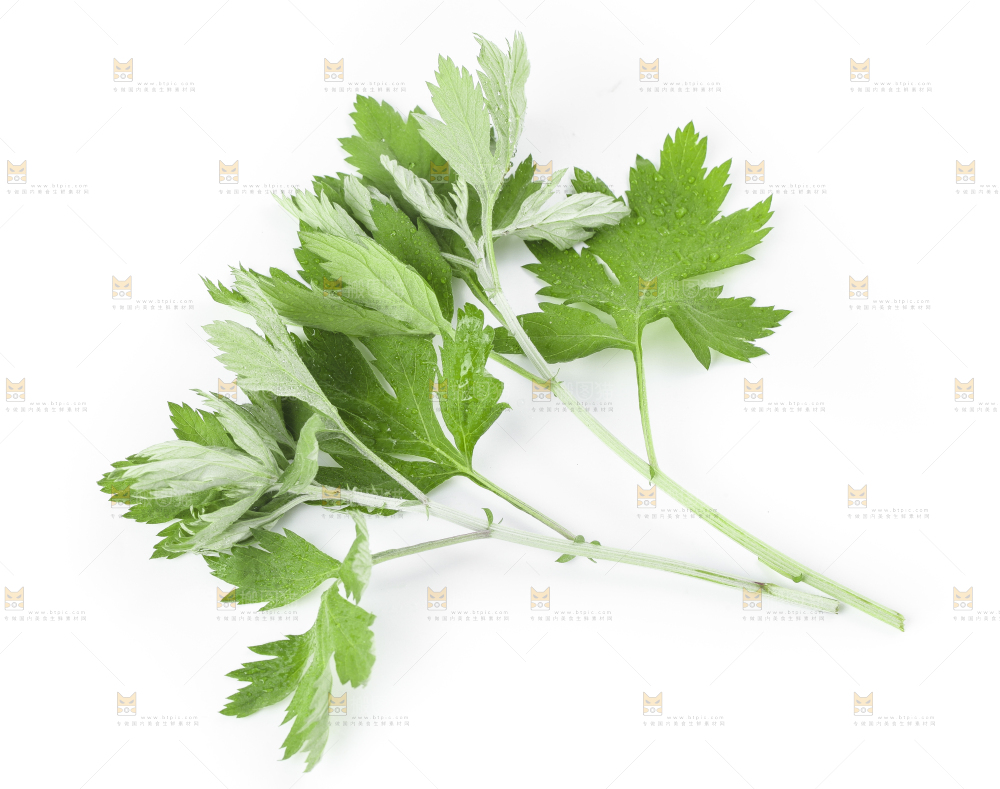 白底上摆放着艾草