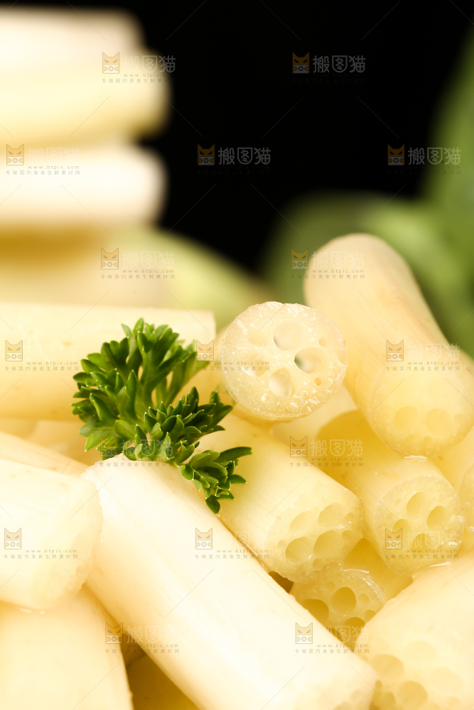 浅底上的藕带