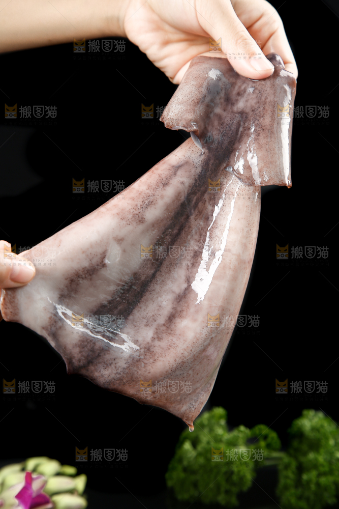 黑底上的鱿鱼