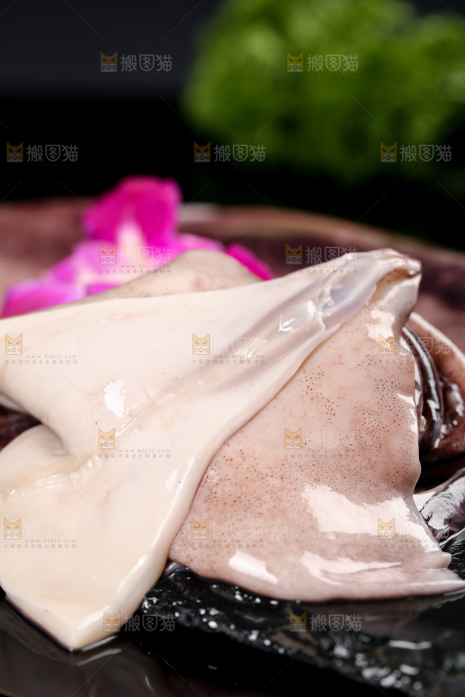 黑底上的鱿鱼