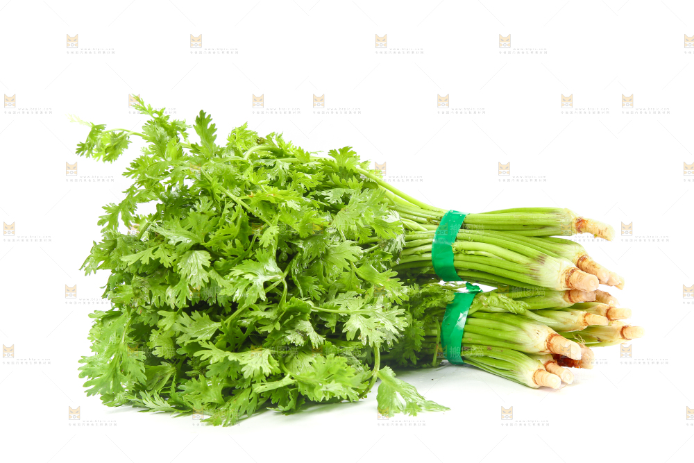 白底上的芹菜