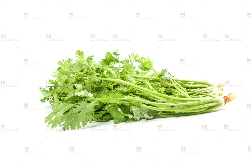 白底上的芹菜
