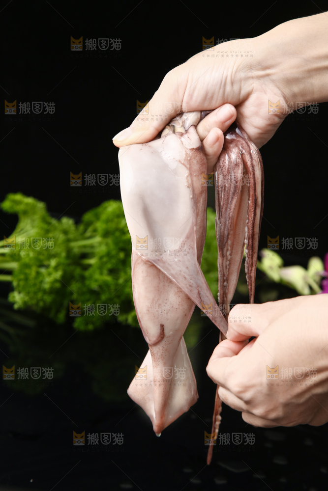 黑底上的鱿鱼