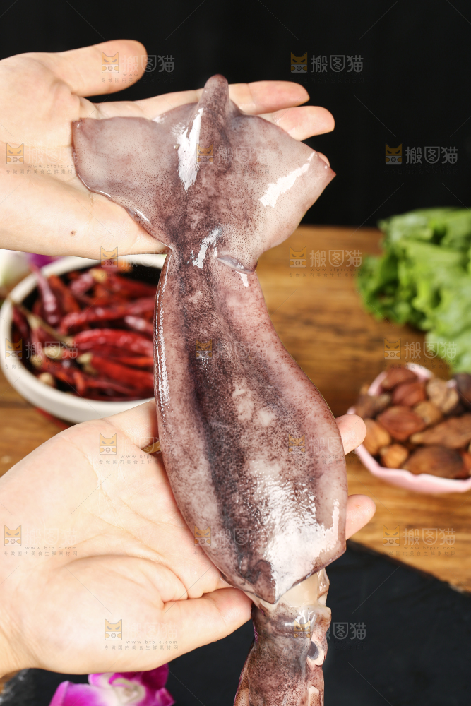 黑底上的鱿鱼