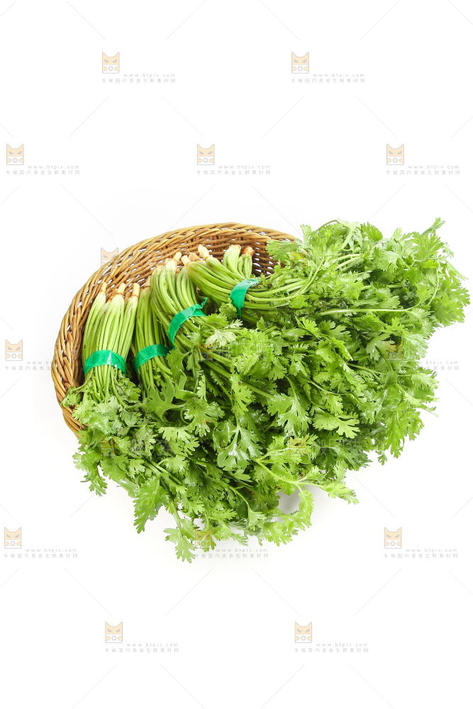 白底上的芹菜