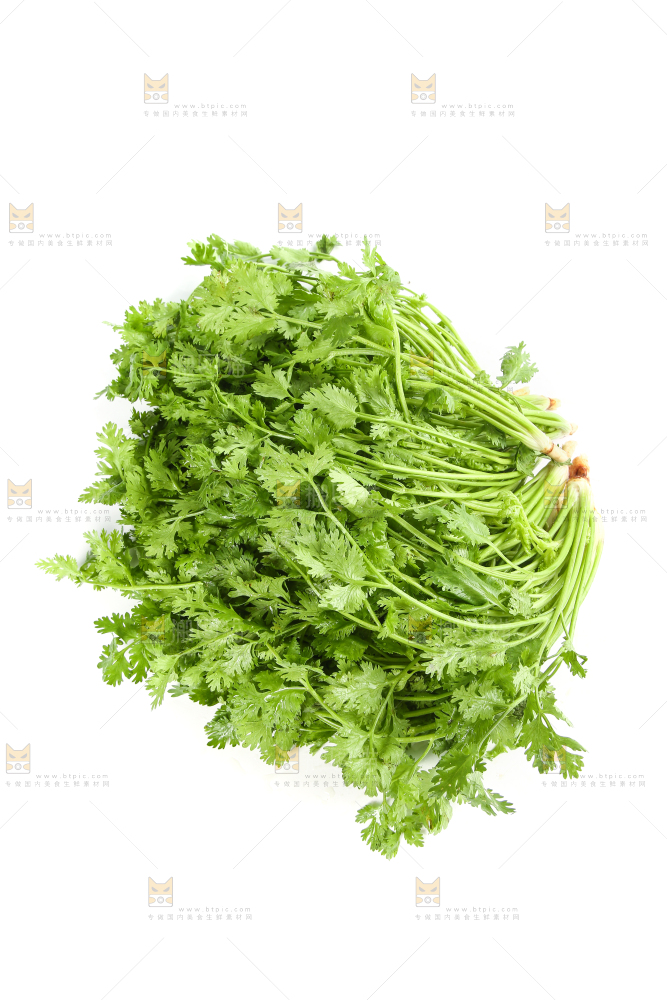 白底上的芹菜