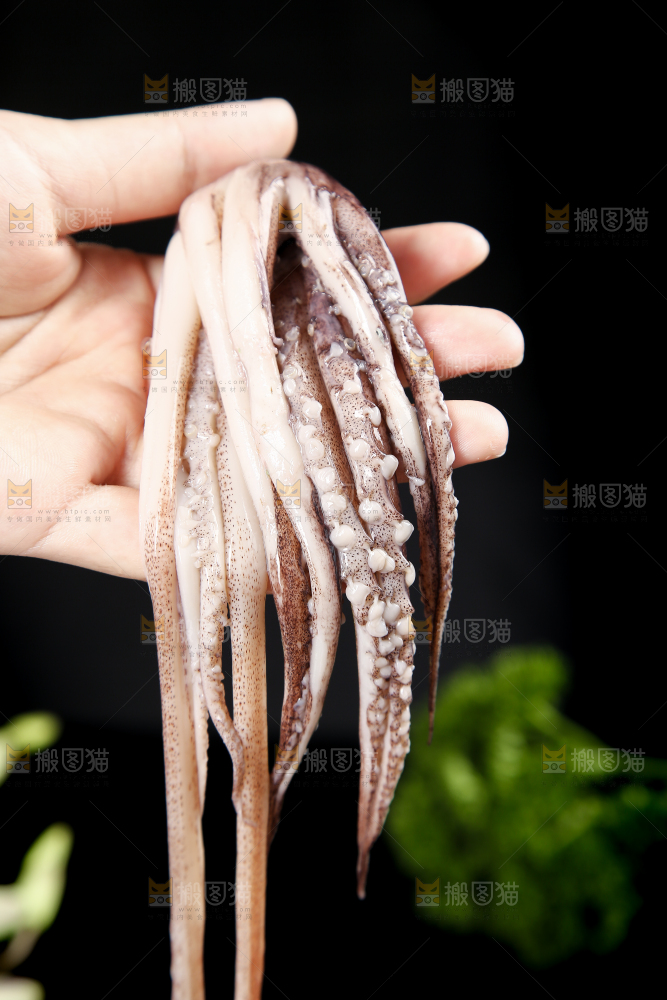 黑底上的鱿鱼