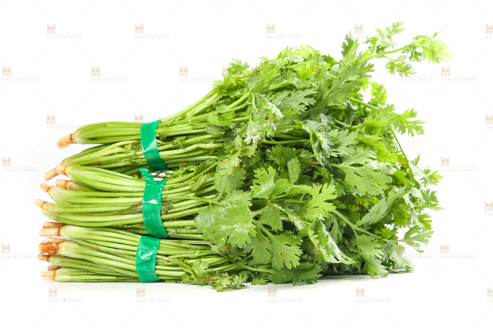 白底上的芹菜