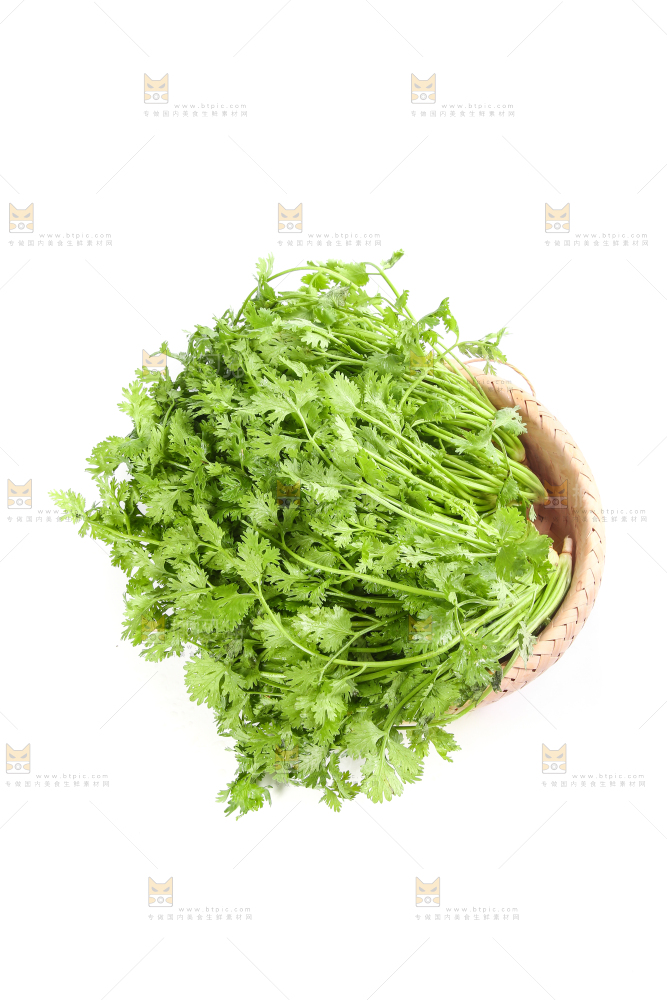 白底上的芹菜