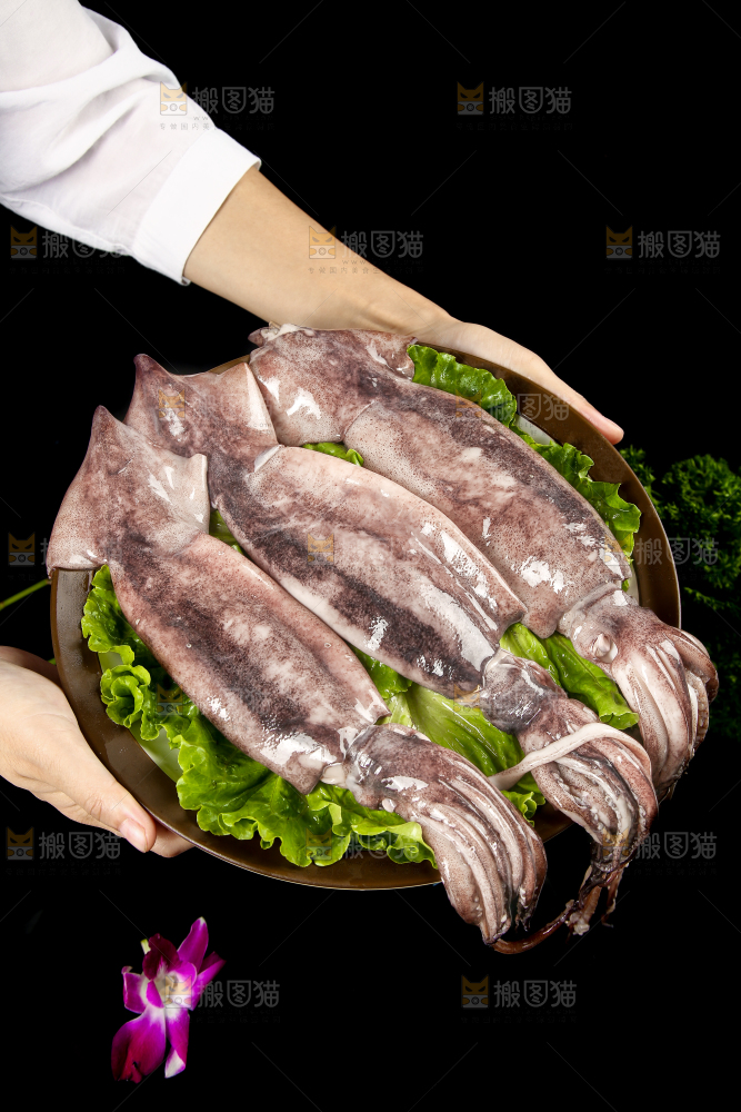 黑底上的鱿鱼