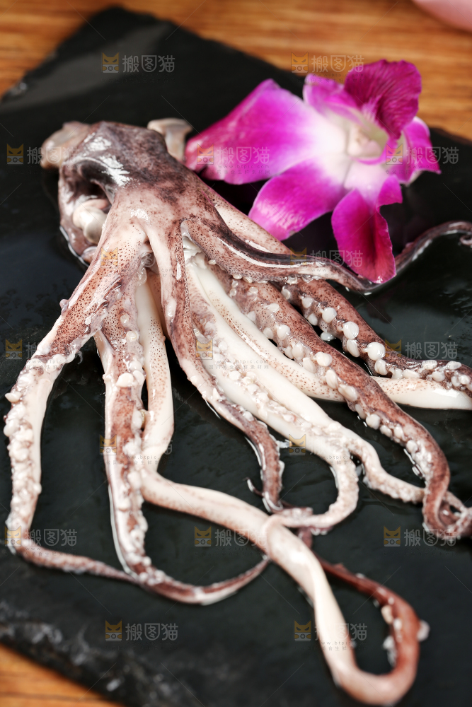黑底上的鱿鱼