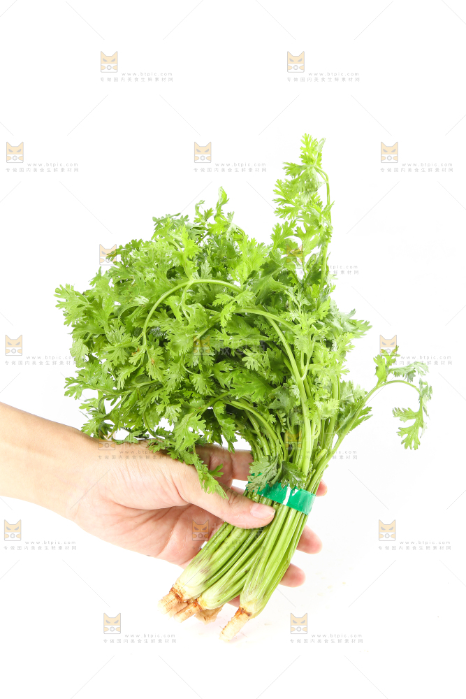 白底上的芹菜