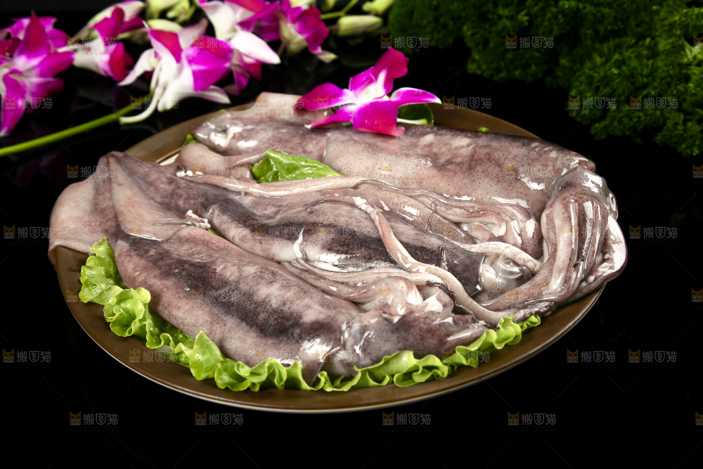 黑底上的鱿鱼