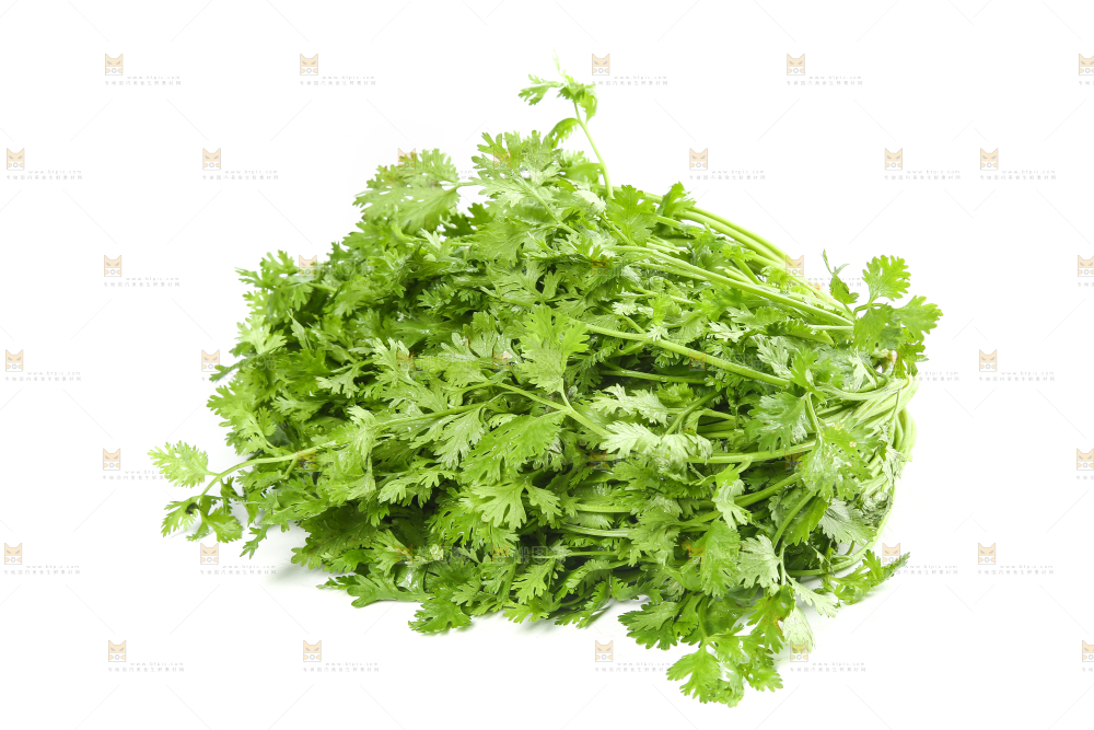 白底上的芹菜