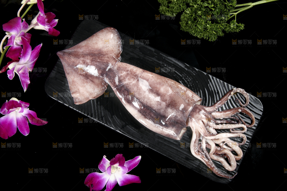 黑底上的鱿鱼