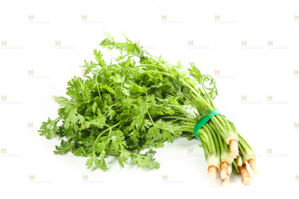 白底上的芹菜
