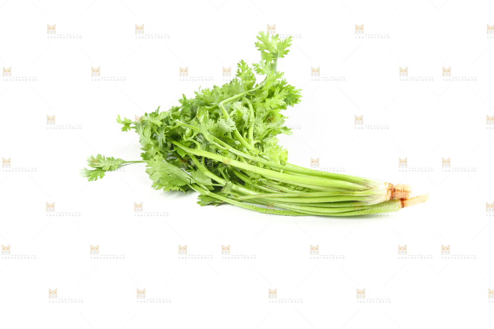 白底上的芹菜