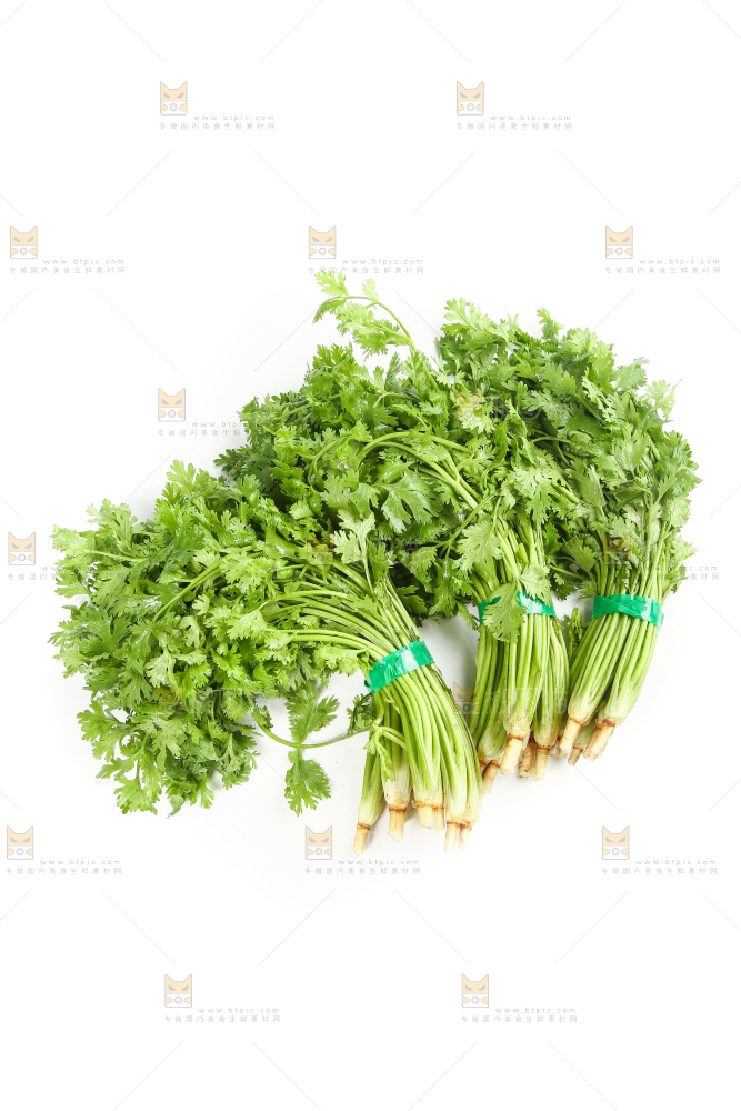 白底上的芹菜