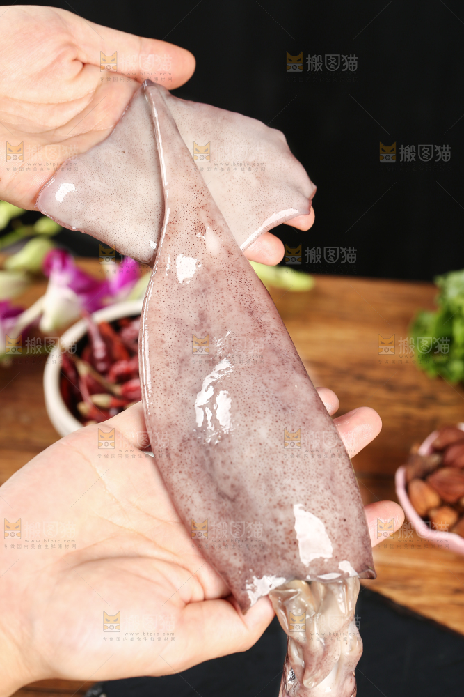 黑底上的鱿鱼