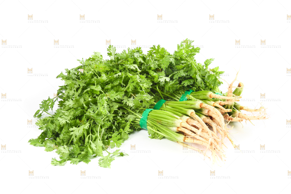 白底上的芹菜