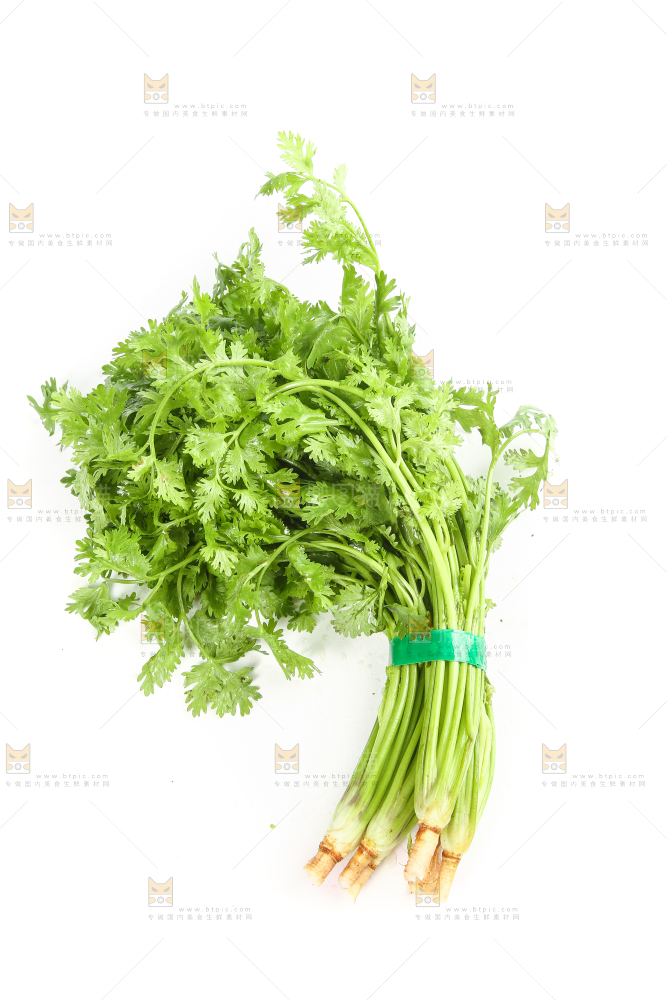 白底上的芹菜