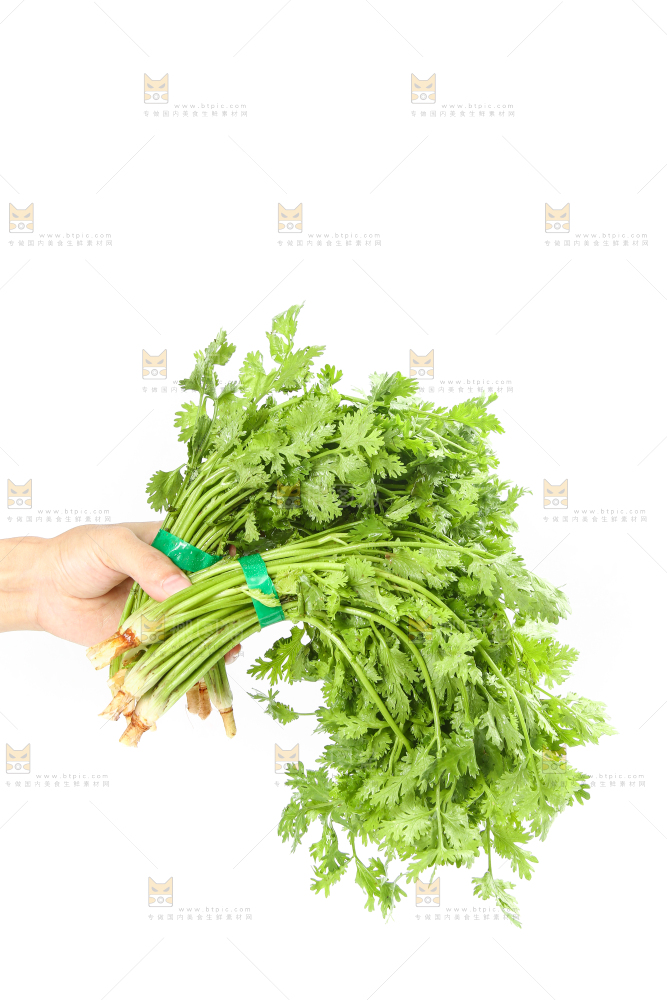 白底上的芹菜